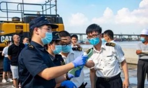 台湾地区输入芒果中截获检疫性有害生物，加强检疫措施势在必行